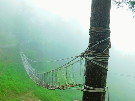 India's best site Shimla Natureの写真素材