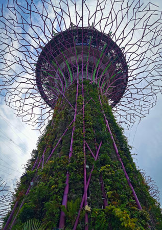 Singapore, December 28th 2019: Gardens by the Bay Supertreeのeditorial素材