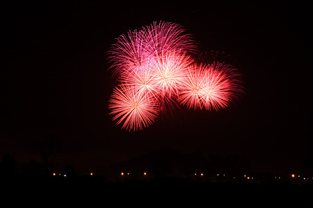 Colorful fireworks over dark sky