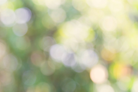 Nature bokeh background