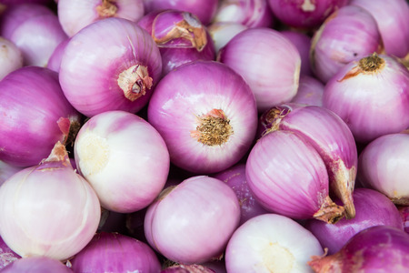 Red onion bulbの写真素材