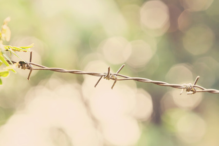 closeup barbed wire,focus at center,Vintage effect