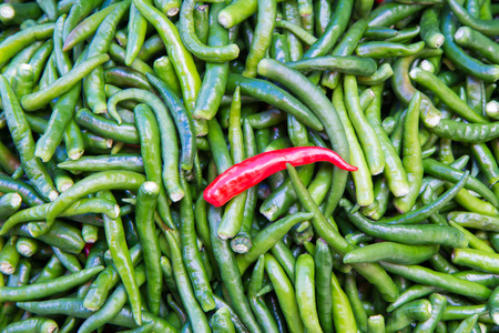 Green chillies for sale at market,Thailandの写真素材