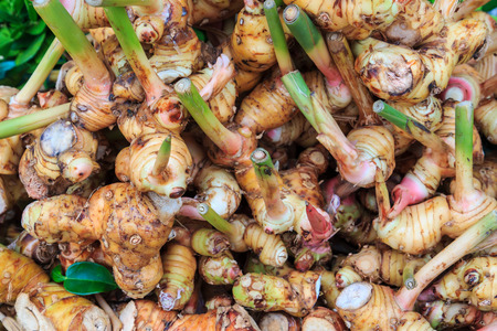 Galangal for sale at market, Thailandの写真素材