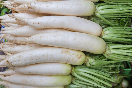 Radishes for sale at market, Thailandの写真素材