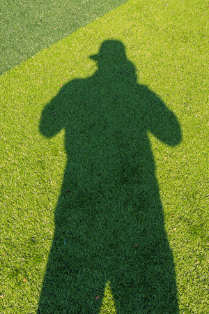 Shadow on the green soccer field