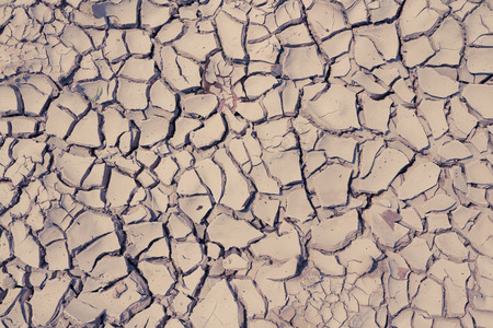 Cracked landの写真素材