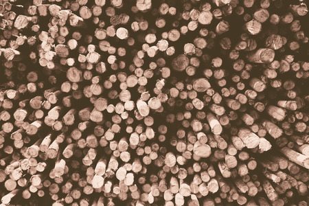 Pile of firewood, Vintage effectの写真素材
