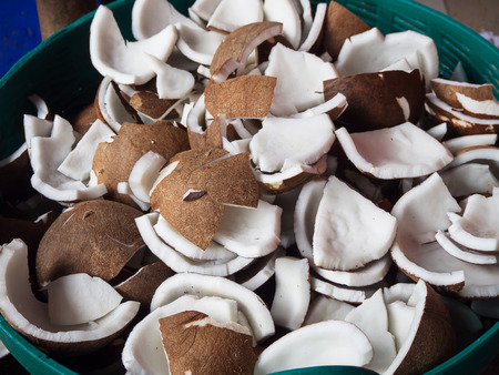 Coconut meat for make Coconut Milk