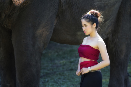 Portrait of Beautiful rural thai woman wear thai dress with elephant in Chiang Mai, Thailandの写真素材
