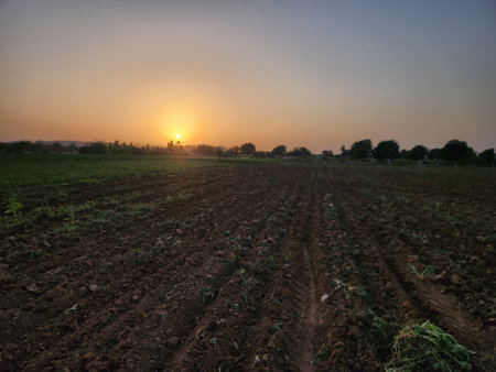 Agriculture in the evening. Landscape with sunset sky.の写真素材