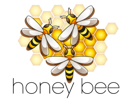 collection of honey bees in the beehiveのイラスト素材