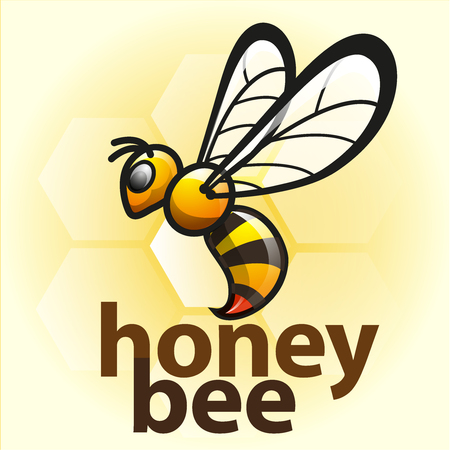 Vector illustration, honey bee symbol.のイラスト素材