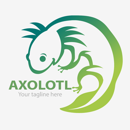Axolotl or Mexican salamander vector, as a symbol or logo to save the environment.のイラスト素材