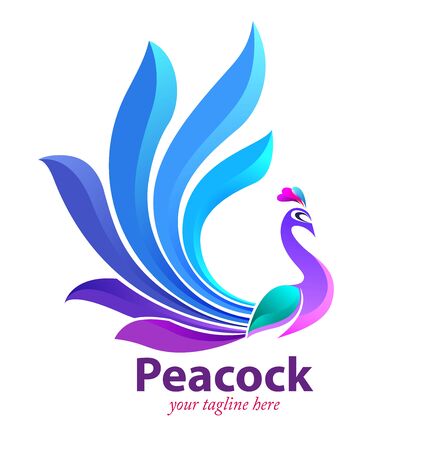 Vector illustration, modification of peacok as a symbol or icon.のイラスト素材