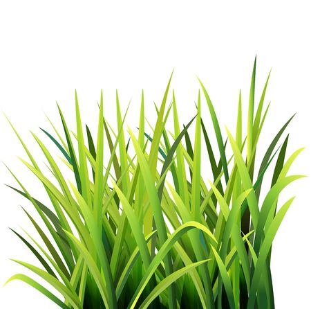 Vector illustration of grass, seen from the side.のイラスト素材