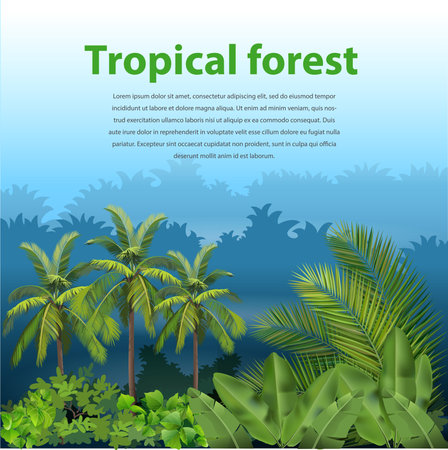 Vector illustration, tropical forest landscape.のイラスト素材