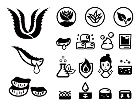 General attribute of aloe vera icon set. Herbal Products for Natural Beauty. Skin care idea.のイラスト素材
