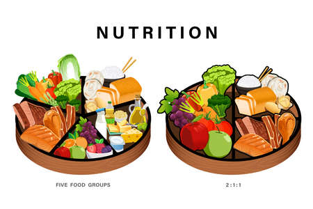 Basic nutrition for daily energy. Consumption balanced diet with the body. Example easy nutritious ratio.のイラスト素材