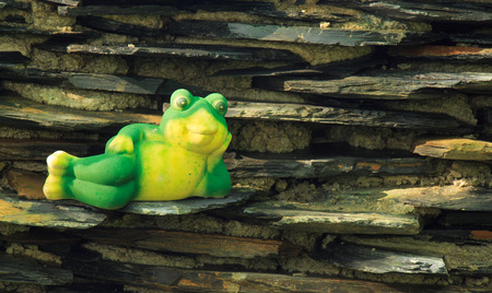 Frog lying on the stone waterfall.の写真素材