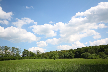 a blue sky and grass field with light cloudsの写真素材