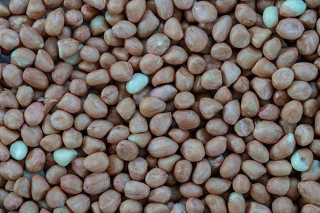 peanut pattern backgroundの写真素材