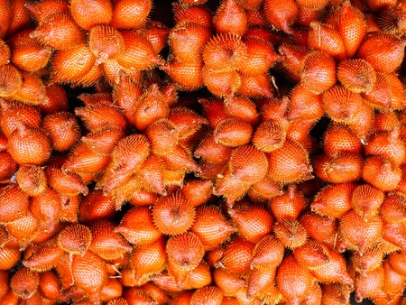 Tropical fruit, red crust like snake skin.の写真素材