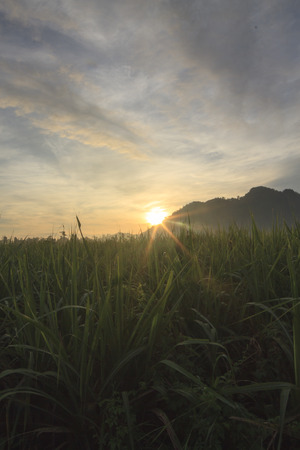 Sunriseの写真素材