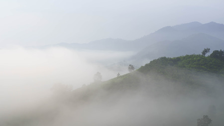 mountainの写真素材