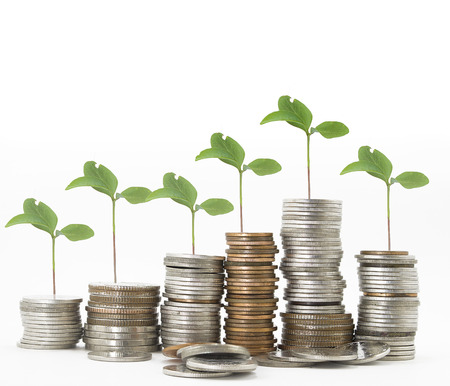 coin stack growing graph are germinating, meaning financial tolerance.の写真素材