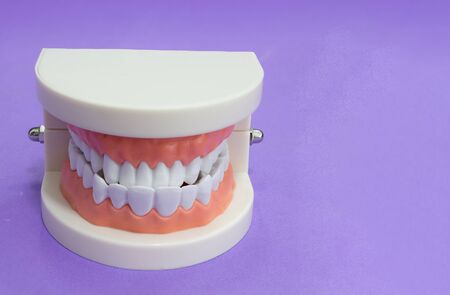 tooth model as medical and healthcare concept.