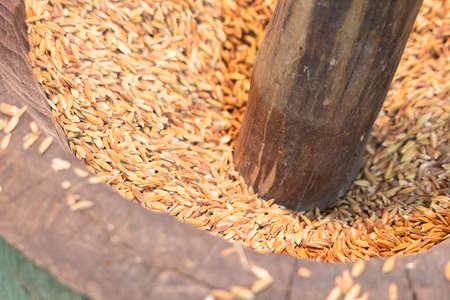 ancient rice milling machine, Thai traditional tools. of Thailand (rice hulling, rice milling)の写真素材