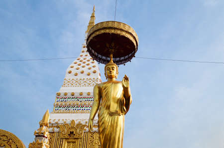 The stand buddha image in front of pagoda in Thailand