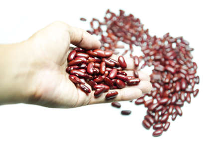 The hand with red bean isolated on white backgroundの写真素材