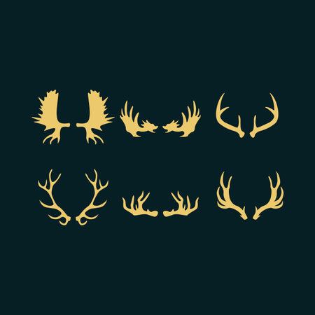 Set of deer antlers. Vector illustration. Isolated on dark background.のイラスト素材