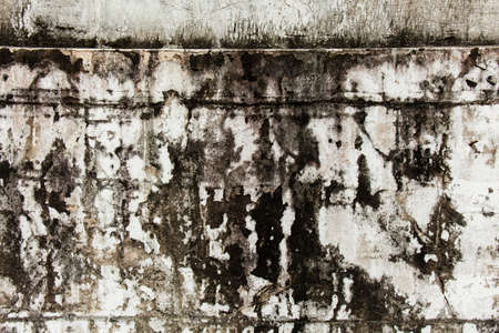old wallの写真素材