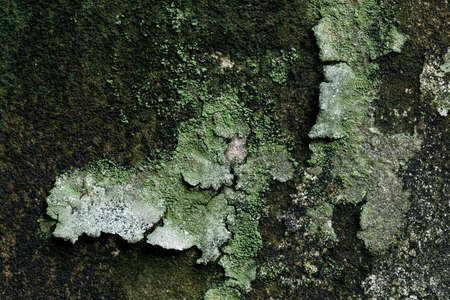old wall