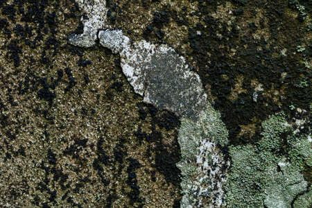 old wallの写真素材
