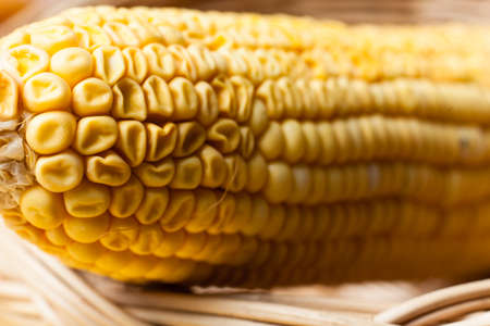 dry corn in the basket.の写真素材