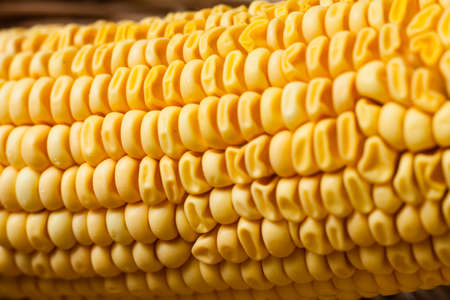 dry corn in the basket.の写真素材