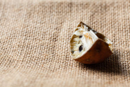 rotten lemon on sackclothの写真素材