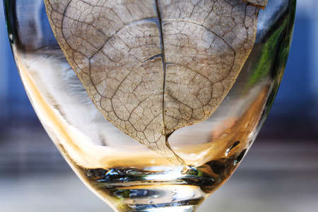texture and detail from dry leaf in glass.の写真素材