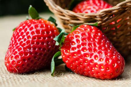 texture and detail from strawberry.の写真素材