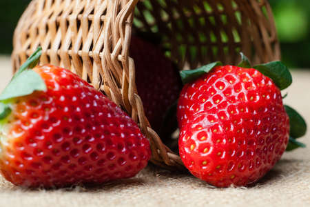 texture and detail from strawberry.の写真素材