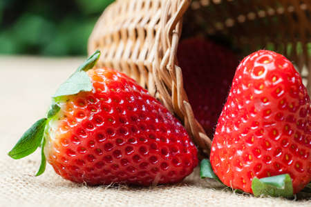 texture and detail from strawberry.の写真素材