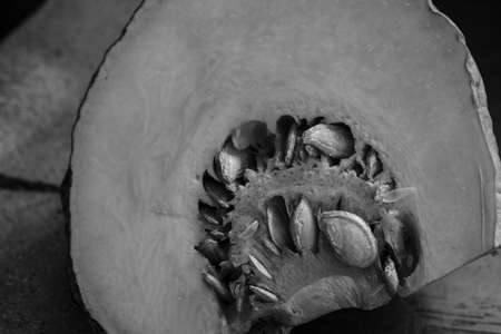 detail from pumpkin on ceramic plate.の写真素材