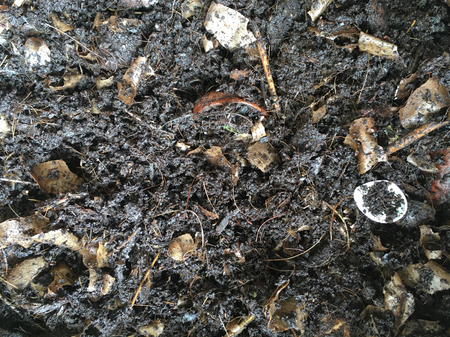 Organic Compost Manure in Progressの写真素材