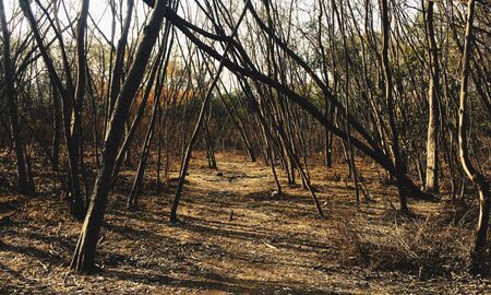 Serene Deserted  as  Fileの写真素材