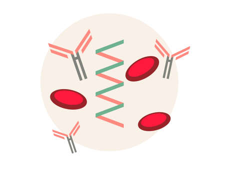 Search for COVID-19 - Vaccine - Illustration  as eps 10 File.のイラスト素材
