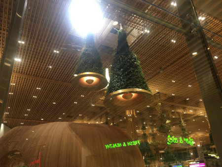 Ceiling Suspended Green Bells with Light and Engineered Bamboo Usage at Domestic Departure Hall of Terminal 2 (T2), Kempegowda International Airport, Bangalore, India - 18th June 2024 as JPG Fileのeditorial素材